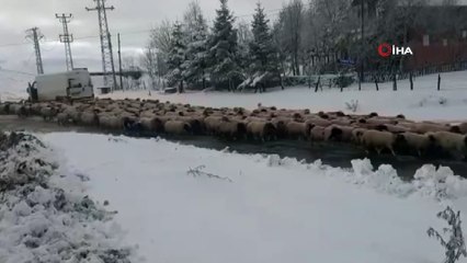 Ordu'ya mevsimin ilk karı yağdı