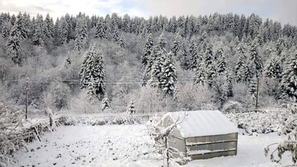 Ordu'ya mevsimin ilk karı yağdı