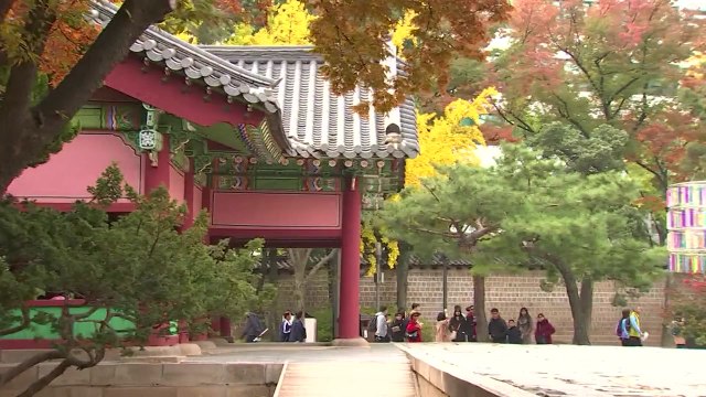 [날씨] 서쪽 곳곳 미세먼지 농도 '나쁨'...밤부터 옅어져 / YTN