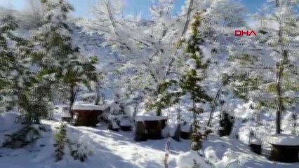 Ordu'da yaylacılar kara yakalandı