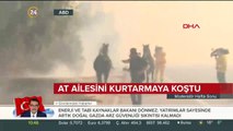 Ailesini kurtarmak için alevlerin içine dalan at