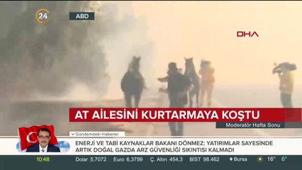 Ailesini kurtarmak için alevlerin içine dalan at