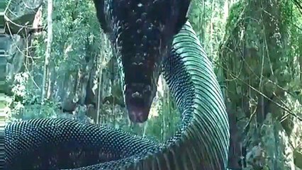 HORRIBLE  & Death is  infront  Dangerous  Forest