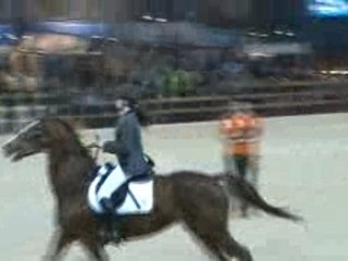 Concours nationales à malinnes