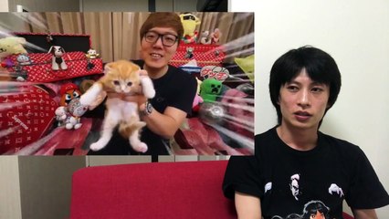 Hikakinの猫、まるお は違うだろ！ （ヒカキン Hikakin 猫 ネコ ねこ まるお 炎上 ）
