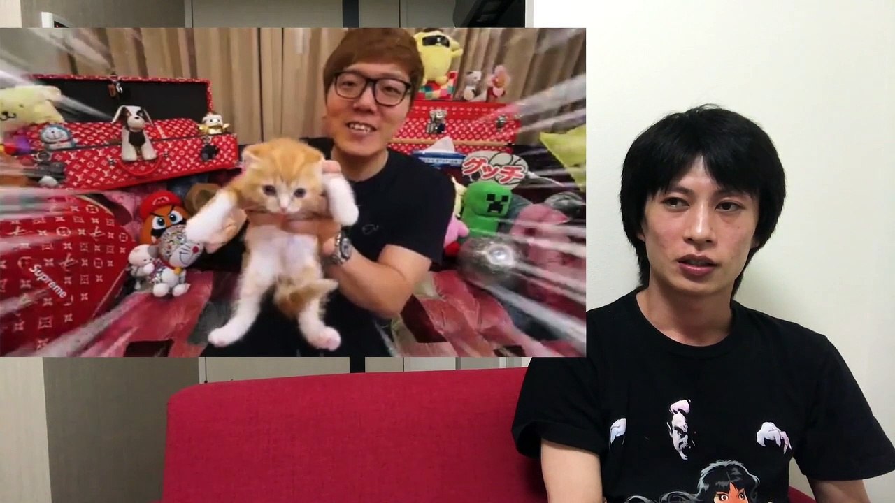 Hikakinの猫、まるお は違うだろ！ （ヒカキン Hikakin 猫 ネコ ねこ まるお 炎上 ）