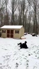 Kid Does A Backflip In The Snow And Fails