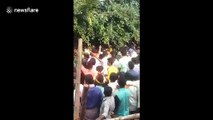 Chaotic scenes in India as bull charges crowd carrying local politician