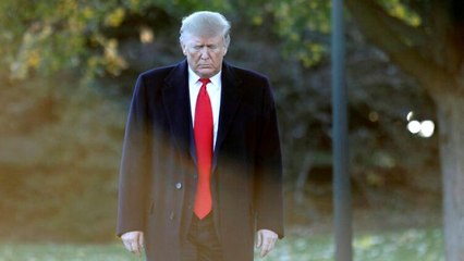 Yarıştan çekilen aday için 'köpek' benzetmesi yapan ABD Başkanı Trump, büyük tepki çekti