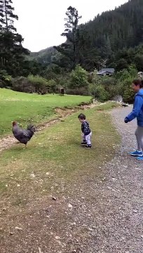 Cette maman sauve son enfant d'un mouton sauvage à la dernière seconde