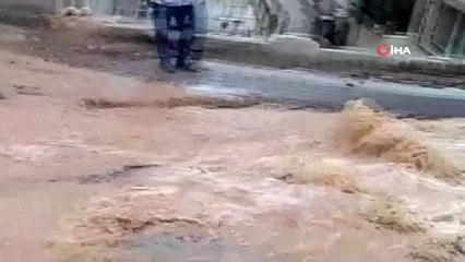 İzmir, Venedik'e döndü