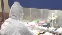 충남 아산에서 조류 인플루엔자 바이러스 검출 / YTN