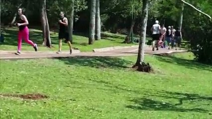 Lazer: feriado atrai famílias para o Lago Municipal de Cascavel