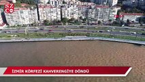 İzmir Körfezi, kahverengiye döndü