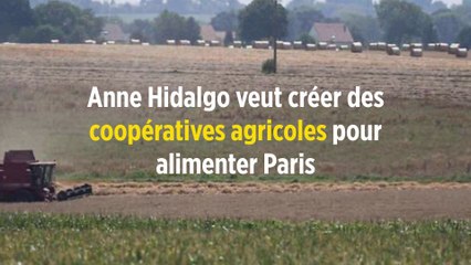 Anne Hidalgo veut créer des coopératives agricoles pour alimenter Paris