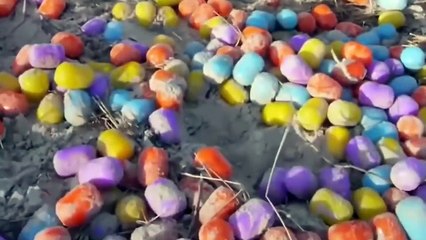 ¡Mira Lo Que Sucede Cuando un Barco Queda Atrapado en una Tormenta!