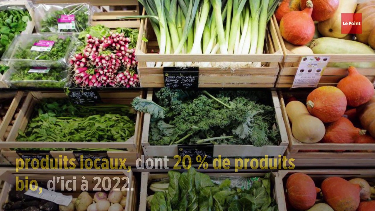 Anne Hidalgo veut créer des coopératives agricoles pour alimenter Paris