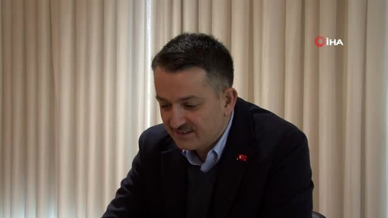 6'ıncı Milas Zeytin Hasat Şenliği gerçekleştirildi