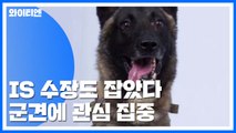 IS 수장도 잡았다...군견에 관심 집중 / YTN