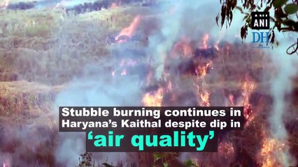 Stubble burning continues in Haryana’s Kaithal despite dip in ‘air quality’