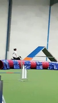 Agility, Lili et Poket championnat de France des jeunes conducteurs 2019