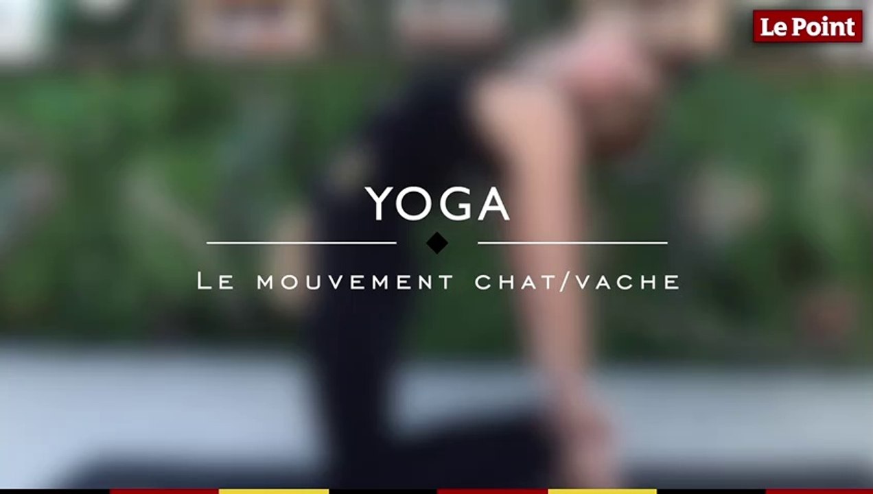 Les essentiels du yoga #7 -  le mouvement chat/vache