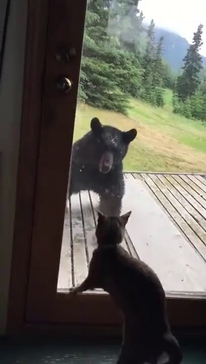 Qui est le patron de la maison!