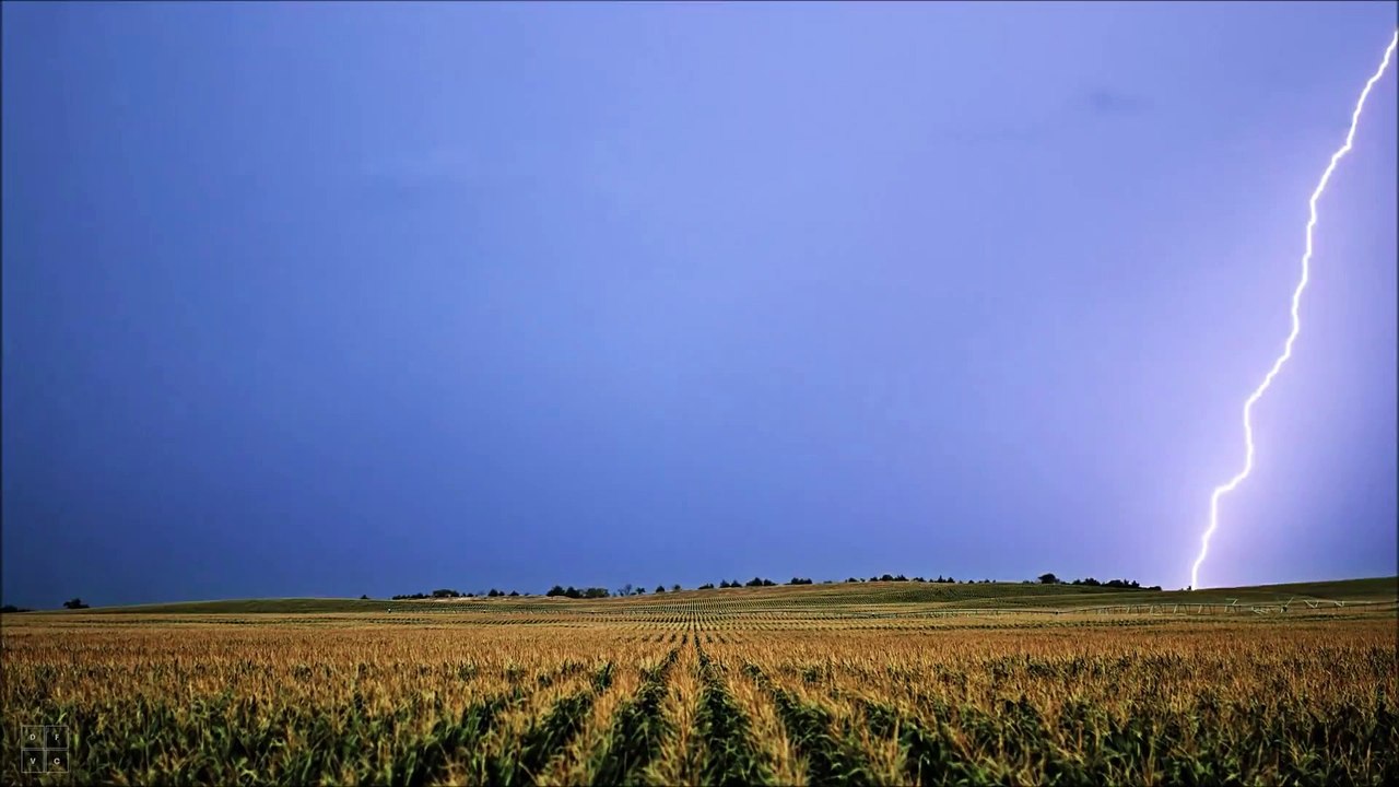 Summer Rain