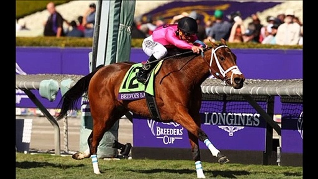 Breeders Cup 2019