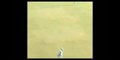 ( viral ) Unbelievable catch by Harmanpreet Kaur | Ind vs WI | Full video