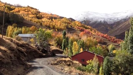 Muş'ta sonbahar güzelliği