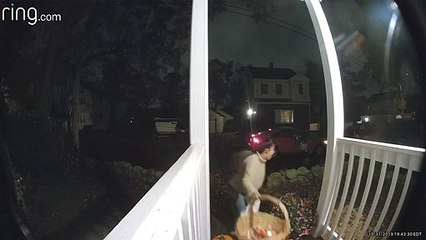 Halloween Basket Goes Bye-Bye