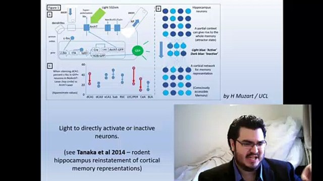 Recent and Current Molecular Neurobiology (Brief) (S2-C4)