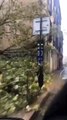 Un arbre est tombé devant la médiathèque de Bayonne, à cause de la tempête Amélie