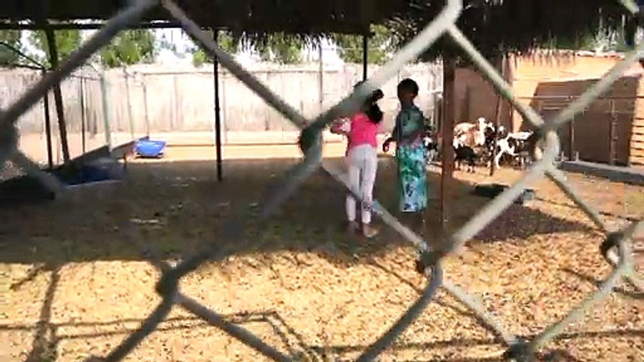 ميرا - أغنية الطفولة (فيديو كليب حصري) _ 2019