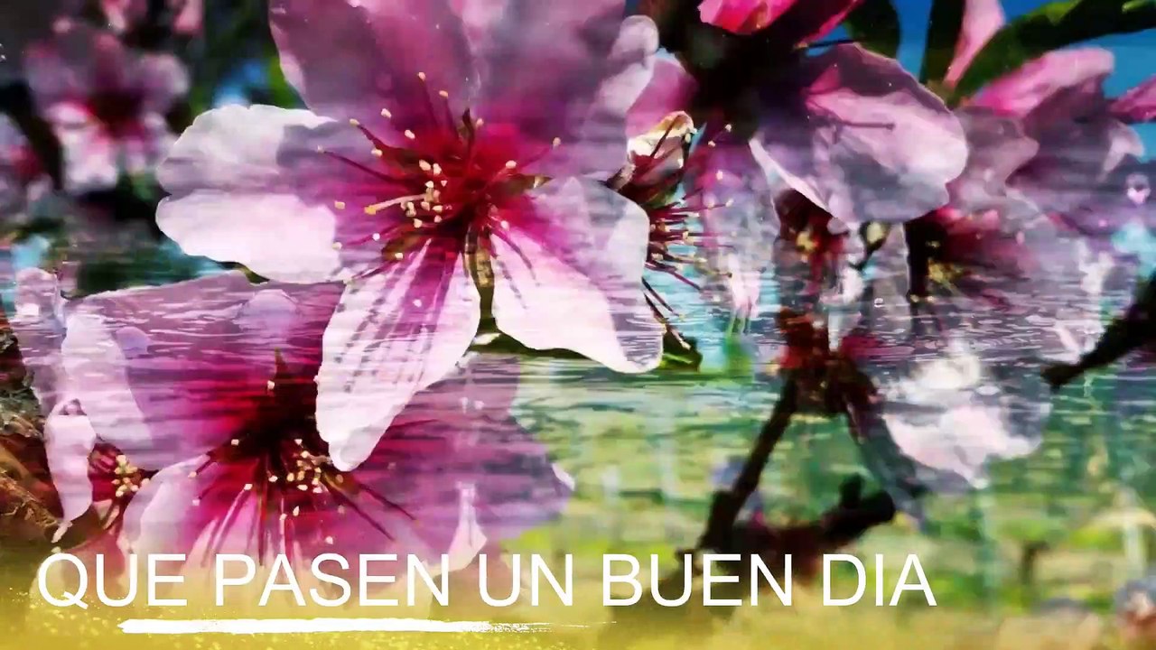 Conoce El Tiempo de Hoy Domingo 03 de Noviembre de 2019