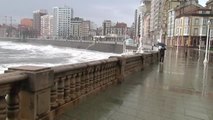 El temporal de viento deja árboles arrancados y carreteras cortadas en Gijón