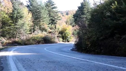 Gölcük'te sonbahar güzelliği