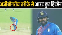 India vs Bangladesh, 1st Test : Rohit Sharma dismissed in Bizarre Fashion | वनइंडिया हिंदी