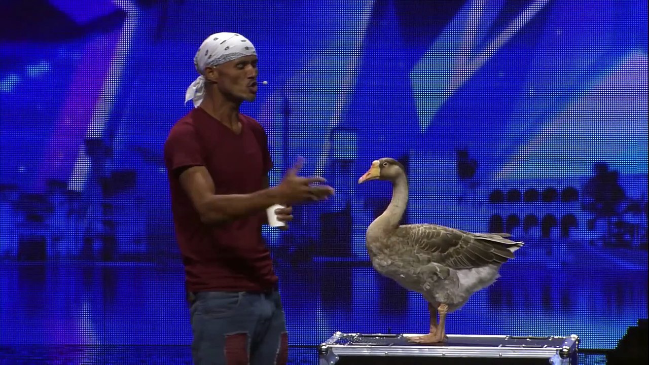 Juan y su ¨patico hembra¨ Lola demuestran su talento   Dominicana’s Got Talent 2019