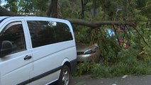 El viento en Madrid provoca algunos daños