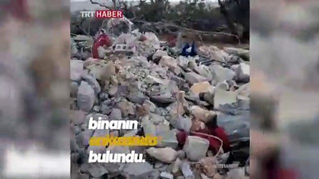 Bağdadi operasyonunda enkaz altında kalan yavru köpekler kurtarıldı