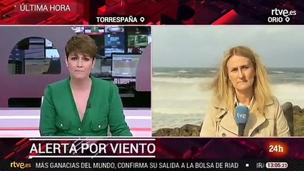 Muere una persona y otra está herida tras caer una palmera en Palma