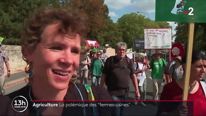 Agriculture : polémique autour des fermes-usines