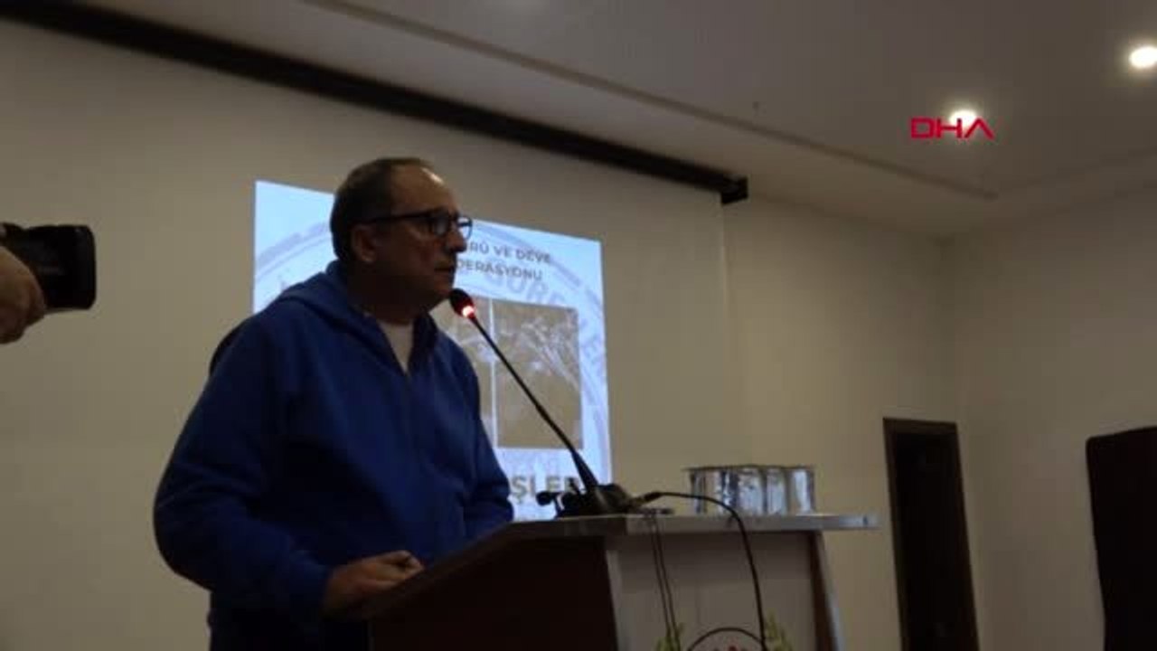 Aydın develer 1 ocak'tan itibaren küpelenip, kimliğe kavuşacak