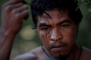 Brazil Amazon forest defender shot dead by illegal loggers