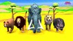 Cartoon Wild Animals Transformation into Farm Domestic Animals in Water Sphere for Kids