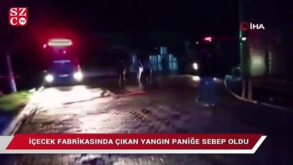 Bursa'da fabrika yangını korkuttu