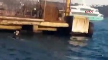 Beşiktaş'ta durağa dalan otobüs şoförü denizden böyle çıkarıldı: Polis yok mu? Öldürün beni