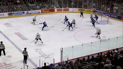 Hershey Bears Vs Syracuse Crunch 11_03_2019